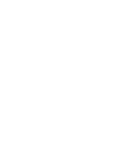 Lubi Rockt Logo
